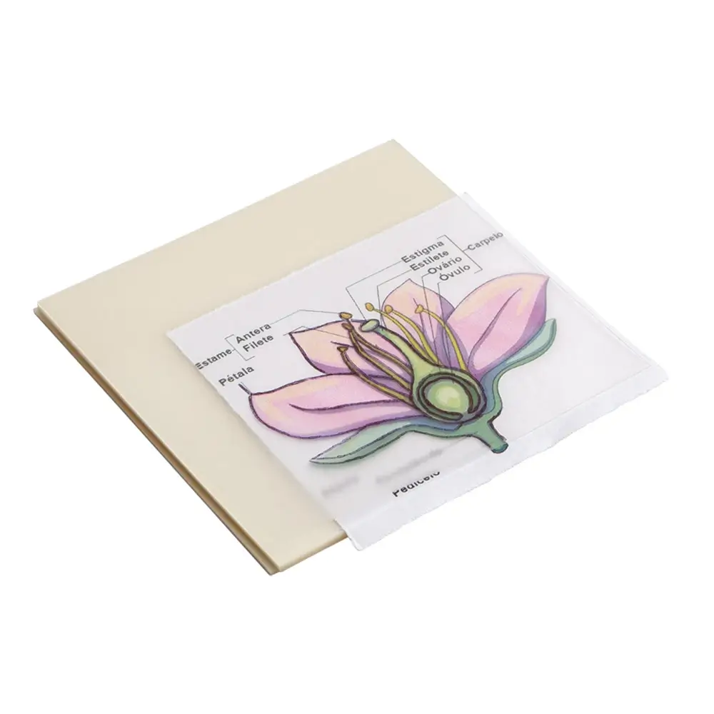 Notas Autoadesivas Cristal Holic Garden - Cartela C/50 Folhas - Tris - Imagem 2